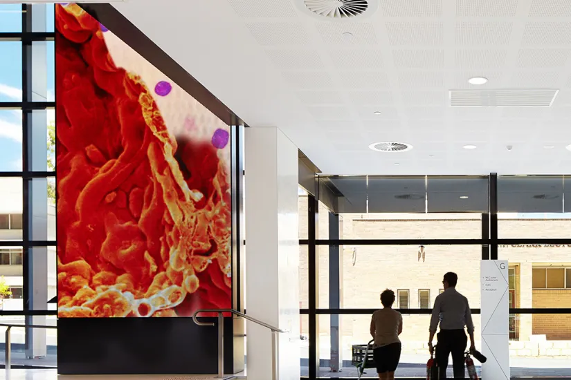 Wayfinding for Harry Perkins Institute of Medical Research by Axiom.